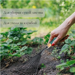 Грабли малые, веерные, пластинчатые, 9 зубцов, длина 42 см, металл, деревянная ручка с поролоном, Greengo