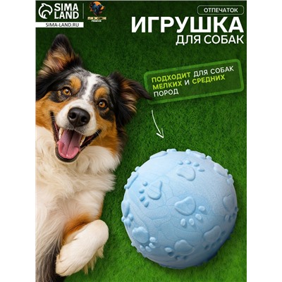 Игрушка плавающая «Отпечаток» Пижон Premium, вспененный TPR, 6.3 см, голубая