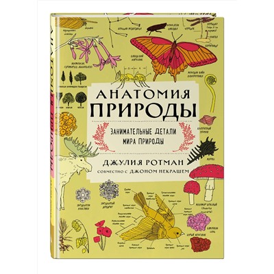Эксмо Ротман Д. "Анатомия природы. Занимательные детали мира природы"