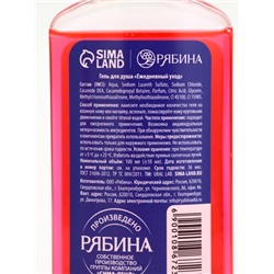 Подарочный набор новогодний «Медвежонок», гель для душа 100 мл и мист для тела, URAL LAB