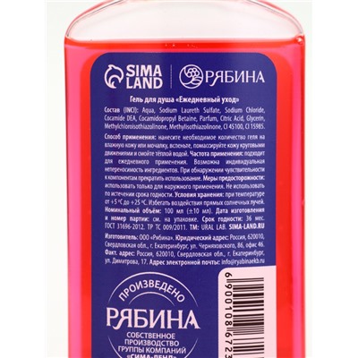 Подарочный набор новогодний «Медвежонок», гель для душа 100 мл и мист для тела, URAL LAB