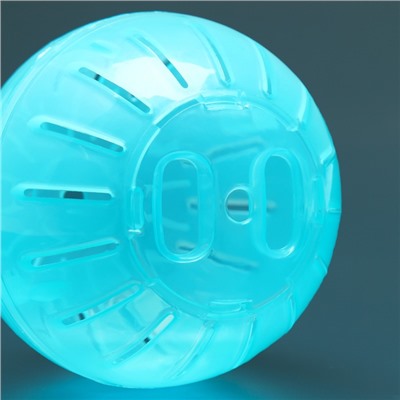 Шар для грызунов Пижон FRIENDS 12 см, голубой