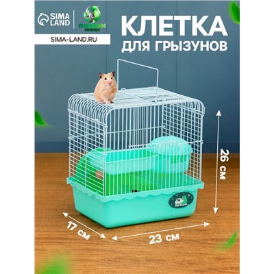 Клетка для грызунов «Пижон», 23×17×26 см, эмаль, зелёная