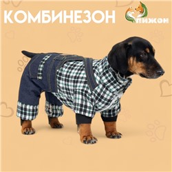 Комбинезон Men, размер XS (ДС 20 см, ОГ 30 см, ОШ 20 см), синий