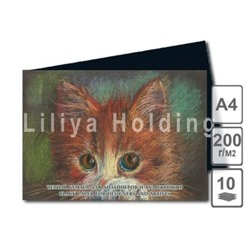 Бумага тонированная черная А4 10л 200г/м2 "Black" БТВ/А4 Лилия Холдинг