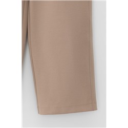 VERY NEAT Брюки ЕВТ 4142