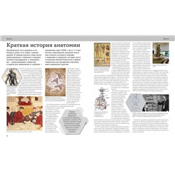 Эксмо Шарат Вайттаден, Дана Густафсон "Анатомия человека. Визуальный гид по всем системам организма: норма и патологии"