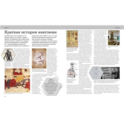 Эксмо Шарат Вайттаден, Дана Густафсон "Анатомия человека. Визуальный гид по всем системам организма: норма и патологии"