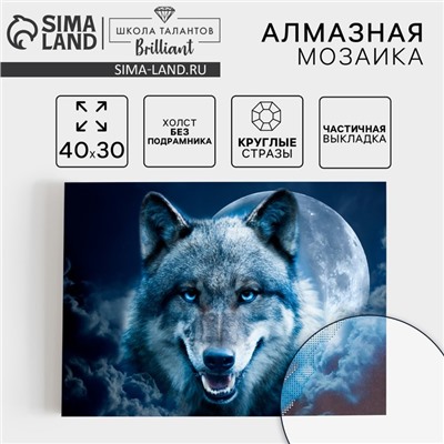 Алмазная мозаика с частичным заполнением на холсте «Магия волка», 30×40 см