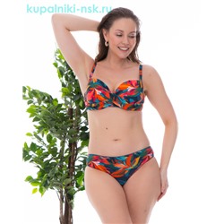 2502-8 Купальник раздельный (46-52)