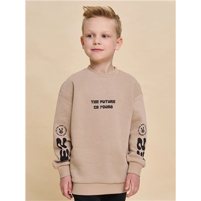 PELICAN Толстовка BFN3364