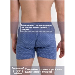 Мужские трусы семейные Berrak