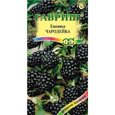 Ежевика Чародейка (Гавр)