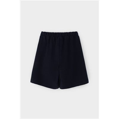 VERY NEAT Шорты ЕВТ 4140