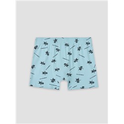 ТРУСЫ МУЖСКИЕ 411143