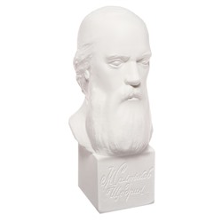 Гипсовая фигура известные люди: Бюст Салтыкова-Щедрина 20×9.5×10.5 см