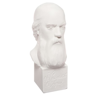 Гипсовая фигура известные люди: Бюст Салтыкова-Щедрина 20×9.5×10.5 см