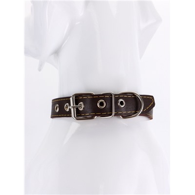 Ошейник «Красотка», 60×2.5 см, однослойный, тиснение фольгой, кожа, цвет МИКС