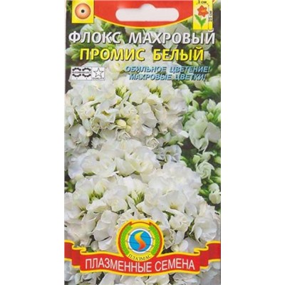 Флокс Промис Белый (Код: 81738)