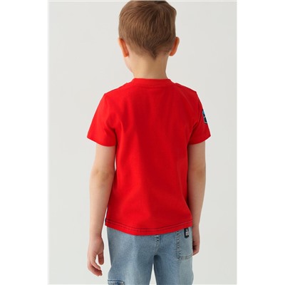 Фуфайка трикотажная для мальчиков (футболка) PLAYTODAY, 1243579