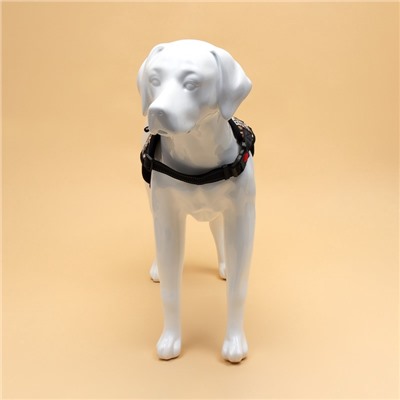 Шлейка К7, размер XL, ОГ 74-92 см, вес 28-47.5 кг, мягкая, светоотражающая, леопард