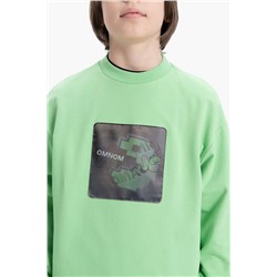 BFN3369 (Толстовка для мальчика, Pelican )