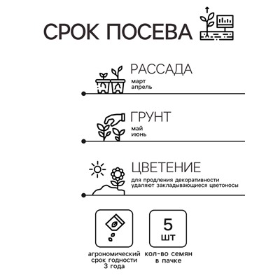 Семена комнатных цветов Колеус "Коралловый Восход", ц/п,  5 шт