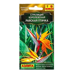 Семена цветов Стрелиция королевская Райская птичка Мн Золотая серия, Ц/П,3 шт.