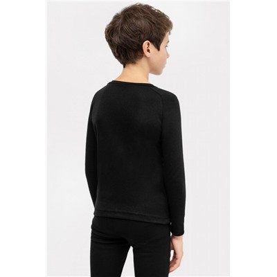 Джемпер для мальчиков Термо 623320 (Черный)