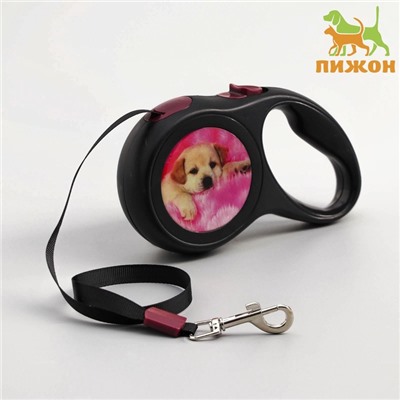 Рулетка с принтом «Милашка», 3 м, вес животного до 12 кг, чёрная