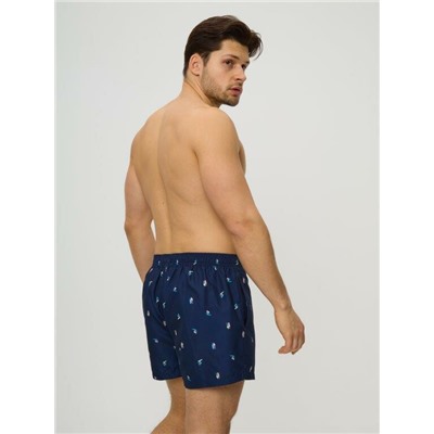 Купальные шорты муж. Torny