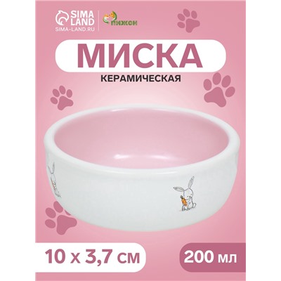 Миска керамическая для кроликов 200 мл 10×3.7 см, розовая/белая