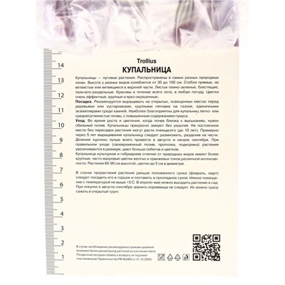 Купальница гибридная Чеддар, р-р I, 1 шт.