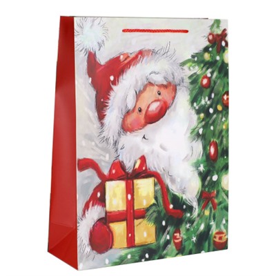 Пакет подарочный 26х32х12см Новый год / 5482L /уп 12/384/210 г