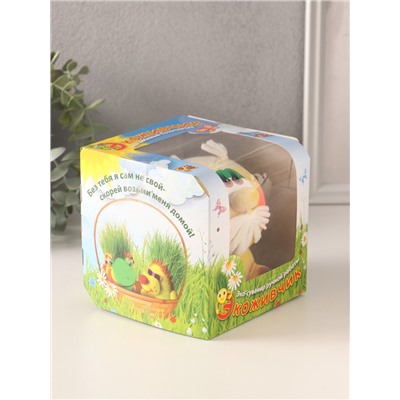 Набор для выращивания «ЭкоЖивчик. Домовой», фигурка растущая в подарочной упаковке