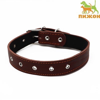 Ошейник кожаный на синтепоне, безразмерный, 71×3.5 см, ОШ 29-62 см, коричневый
