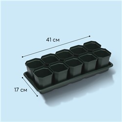 Набор для рассады: стаканы по 300 мл (10 шт.), поддон 41×17 см, цвет МИКС