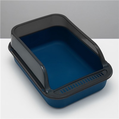 Туалет с прозрачными бортами с совком и фильтром, 40×28×16 см, синий