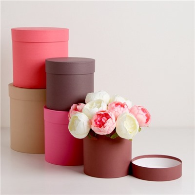 Набор шляпных подарочных коробок 5 в 1« Кофейный», 23×23 - 14×14 см