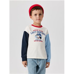 Acoola Джемпер 20120150133