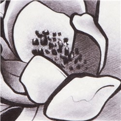 Коврик для ванной «Этель» Magnolia, 53×63±2 см, велюр