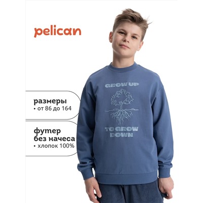 PELICAN Толстовка BFN3370/2