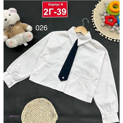 рубашка 1984433-1