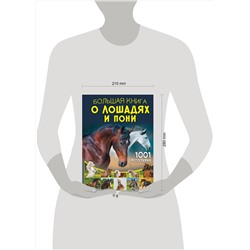 АСТ Спектор А.А. "Большая книга о лошадях и пони. 1001 фотография"