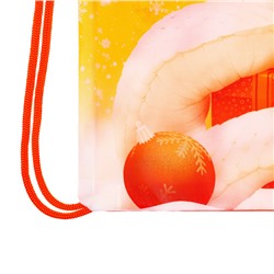 Мешок новогодний под сладости «Змея» (мягкий полиэстер, плотность 210D) 29×34 см