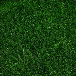 Газон искусственный, для спорта, ворс 40 мм, 2×5 м, зелёный, Greengo