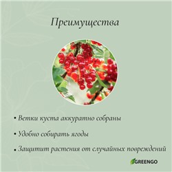 Кустодержатель, d=40 см, h=60 см, ножка d=0.3 см, металл, набор 2 шт., зелёный, Greengo
