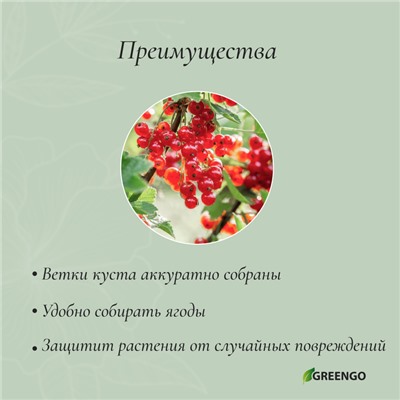 Кустодержатель, d=40 см, h=60 см, ножка d=0.3 см, металл, набор 2 шт., зелёный, Greengo