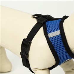 Комплект амуниции с мягкой шлейкой и светоотражающей нашивкой, M, ОШ 26, ОГ 36-44, синий