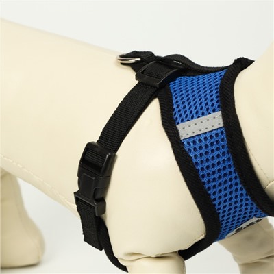 Комплект амуниции с мягкой шлейкой и светоотражающей нашивкой, M, ОШ 26, ОГ 36-44, синий